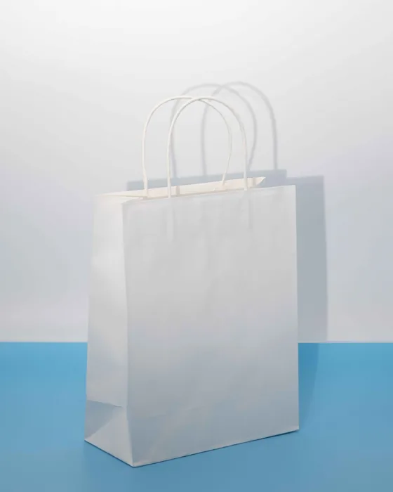 A plain white paper carrier bag with twisted rope handles.
